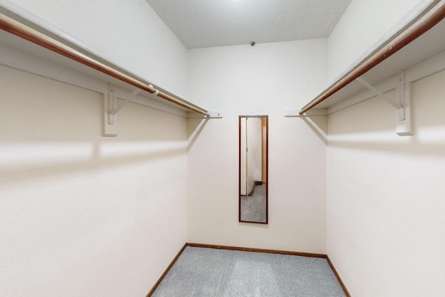 walk in closet featuring carpet floors