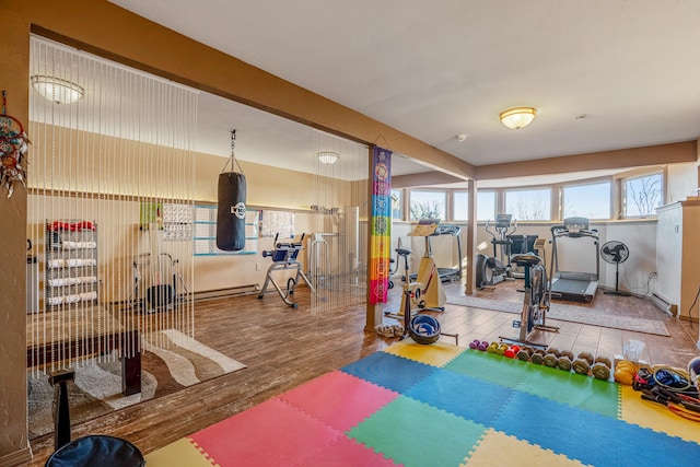 exercise room featuring wood-type flooring