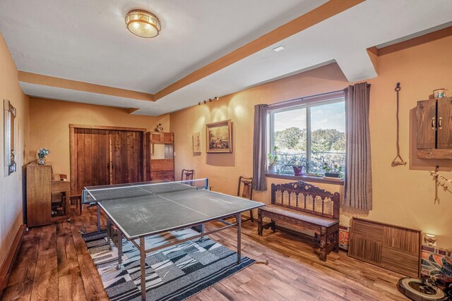 playroom with hardwood / wood-style flooring