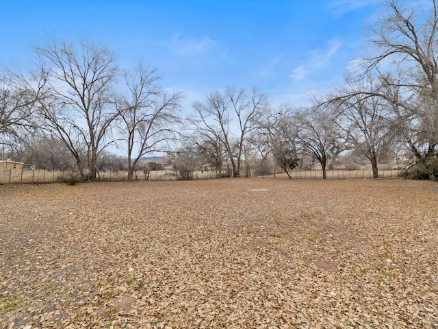 view of yard with a rural view