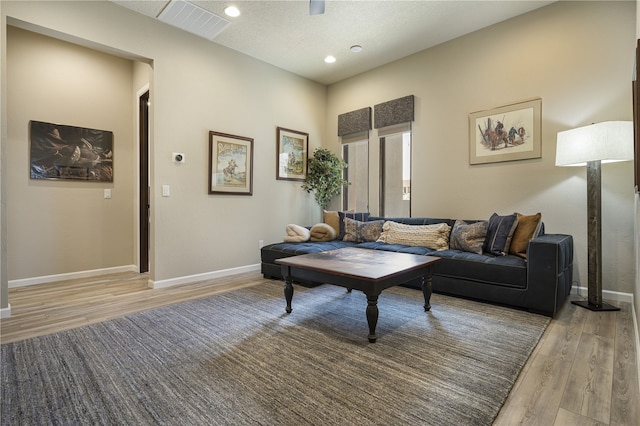 living room featuring light hardwood / wood-style floors