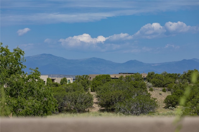 view of mountain feature