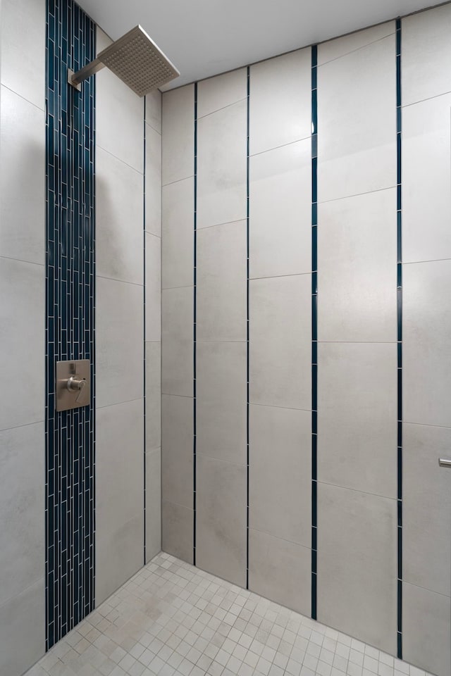 room details with tiled shower