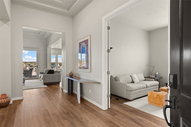 entrance foyer with hardwood / wood-style flooring