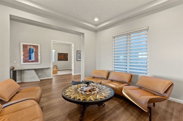 living room featuring hardwood / wood-style flooring