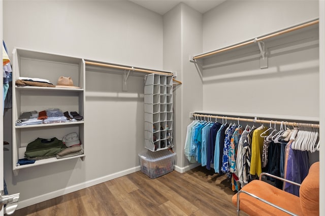 spacious closet featuring wood-type flooring