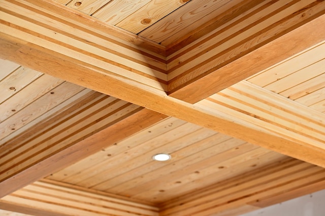 interior details with wood ceiling