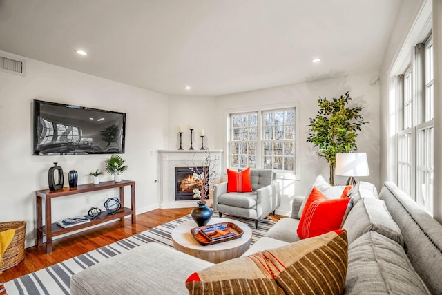 living room featuring a fireplace and hardwood / wood-style flooring