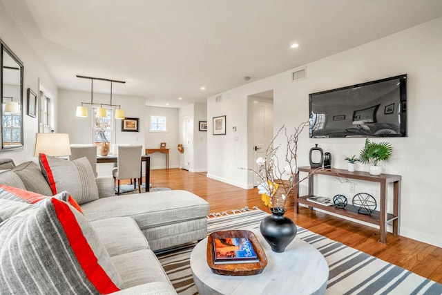 living room with wood-type flooring