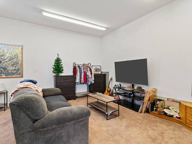 living area featuring light carpet