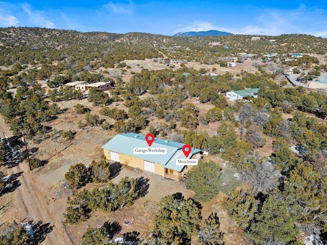 birds eye view of property with a mountain view