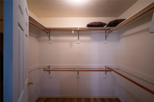 spacious closet featuring hardwood / wood-style flooring