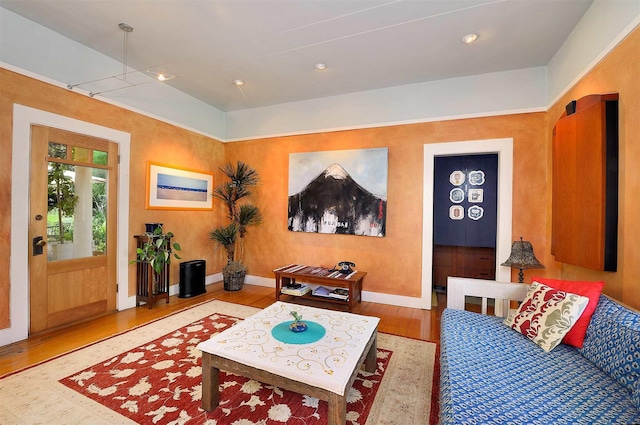 living room with wood-type flooring