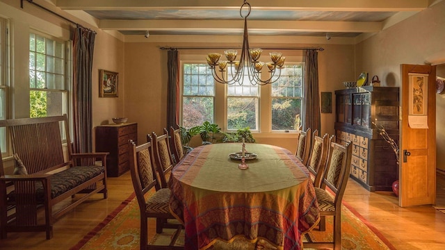 dining space featuring a chandelier, light hardwood / wood-style floors, and beamed ceiling