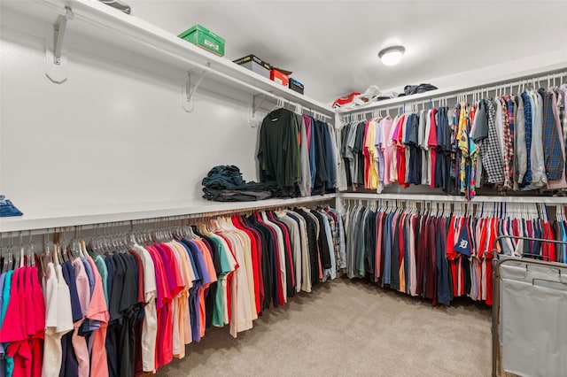 walk in closet featuring carpet flooring