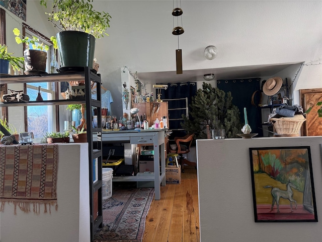 interior space with wood-type flooring