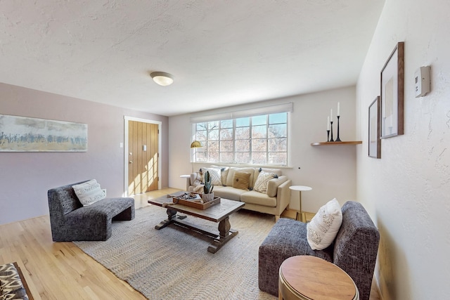 living room featuring wood-type flooring