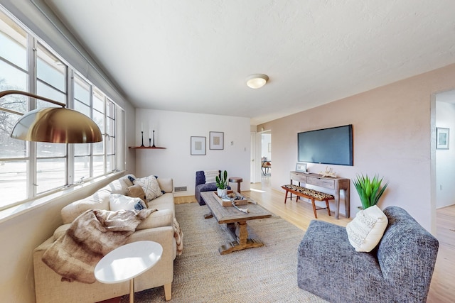 living room featuring light hardwood / wood-style flooring and a healthy amount of sunlight