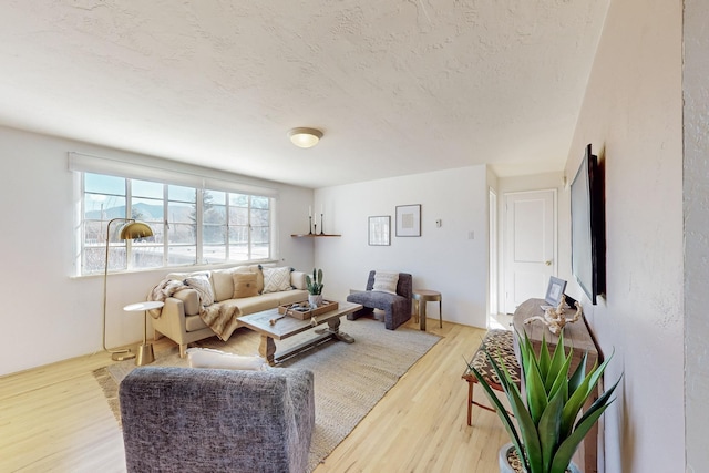 living room with a textured ceiling and hardwood / wood-style flooring