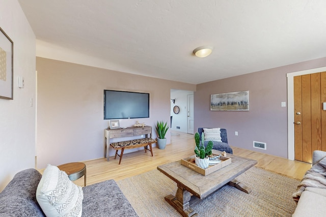 living room featuring wood-type flooring