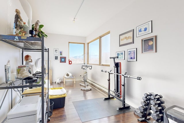 workout area with track lighting and wood-type flooring