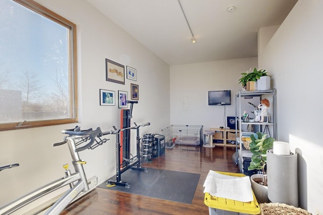 exercise room featuring dark hardwood / wood-style flooring, a wealth of natural light, and rail lighting