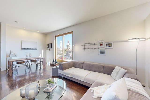 living room featuring dark hardwood / wood-style flooring