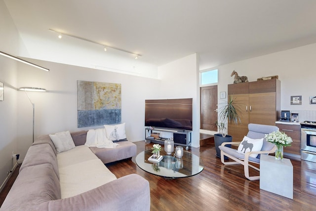 living room with dark hardwood / wood-style flooring and track lighting