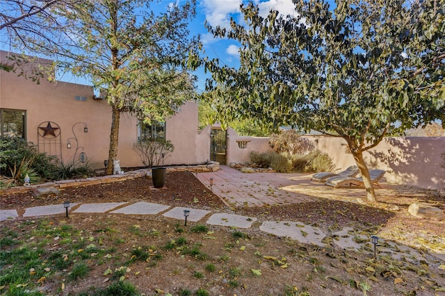 view of yard with a patio