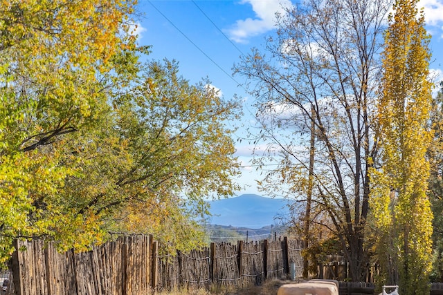 view of mountain feature