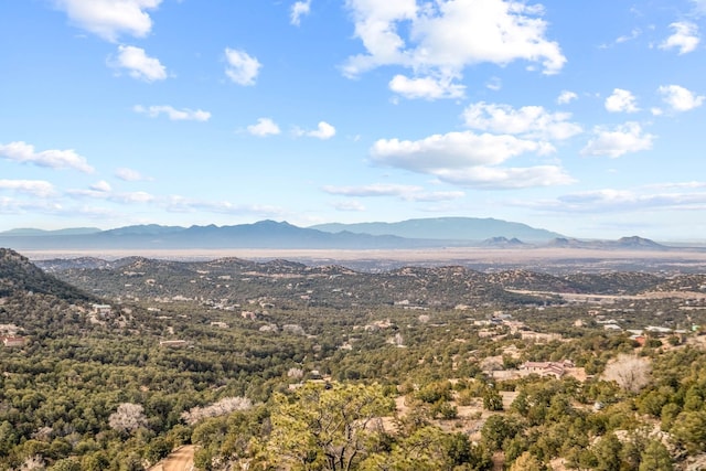 view of mountain feature