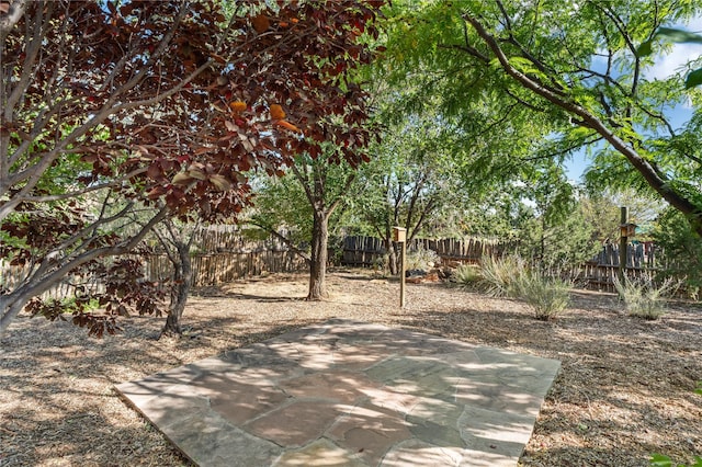 view of yard with a patio area