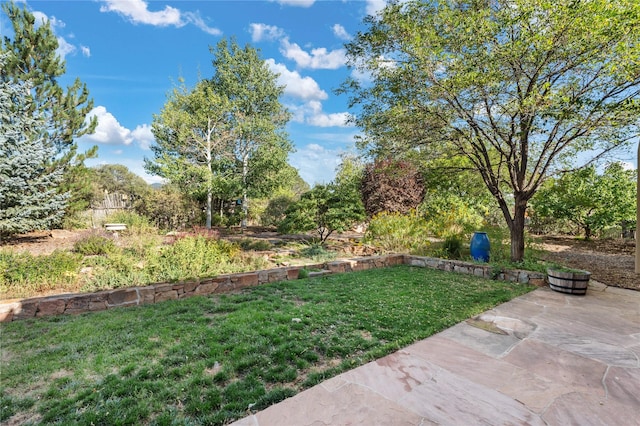 view of yard with a patio