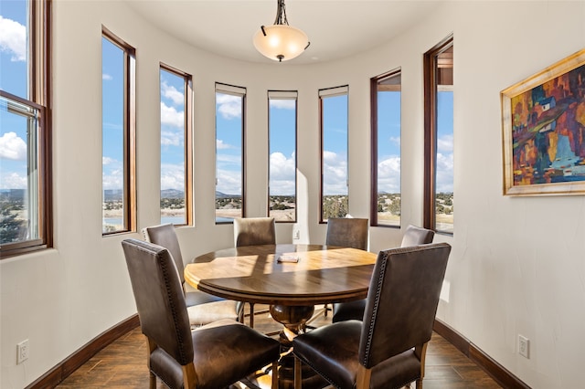 dining area with plenty of natural light and dark wood-type flooring