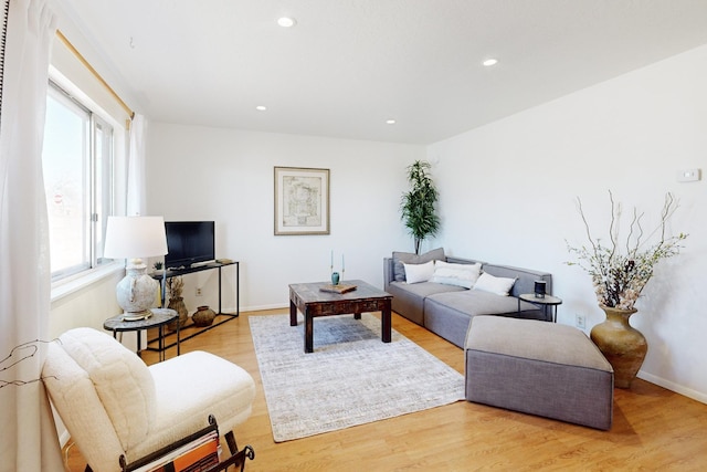 living room featuring light hardwood / wood-style flooring