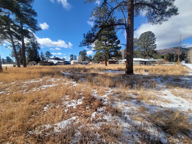 Listing photo 2 for 0 Grove, Chama NM 87520