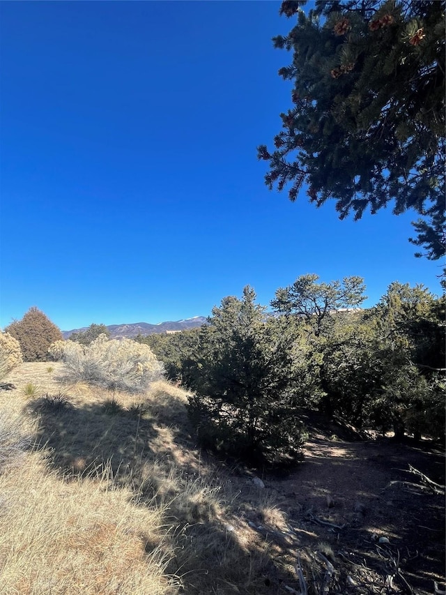 Listing photo 3 for 2959 Broken Sherd Trl, Santa Fe NM 87506