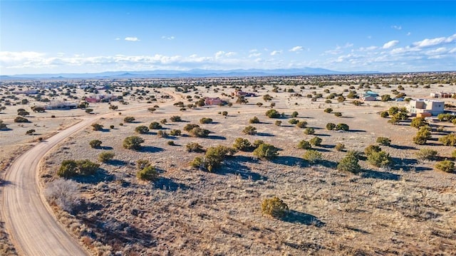 drone / aerial view with a mountain view