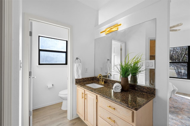 bathroom with vanity, toilet, and hardwood / wood-style floors