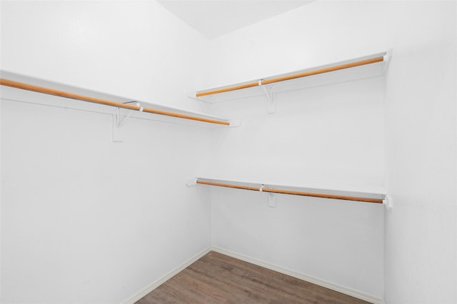 walk in closet with hardwood / wood-style flooring