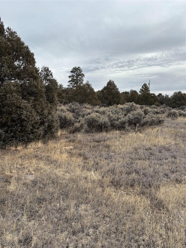 LOTS2 Parkview Hls, Los Ojos NM, 87551 land for sale