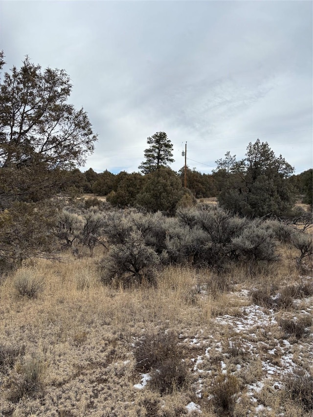 Listing photo 2 for LOTS2 Parkview Hls, Los Ojos NM 87551