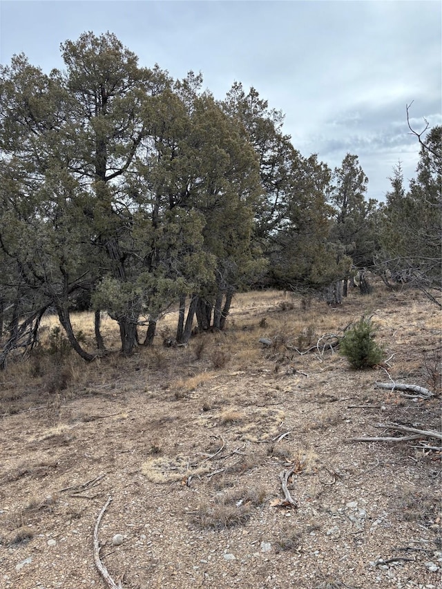 Listing photo 3 for LOTS2 Parkview Hls, Los Ojos NM 87551