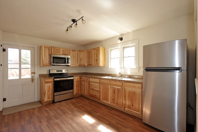 kitchen featuring sink, a wealth of natural light, dark wood-type flooring, and stainless steel appliances