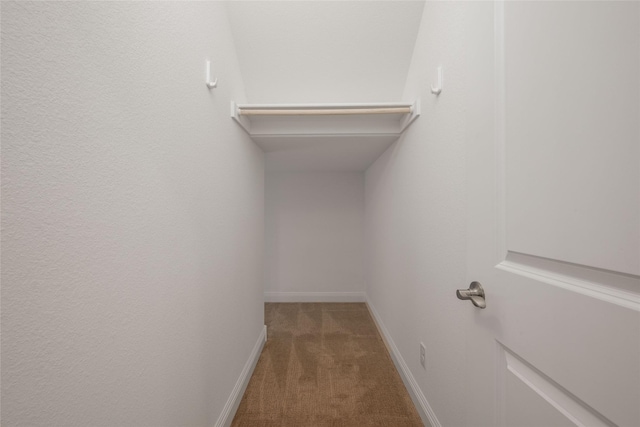 spacious closet with carpet