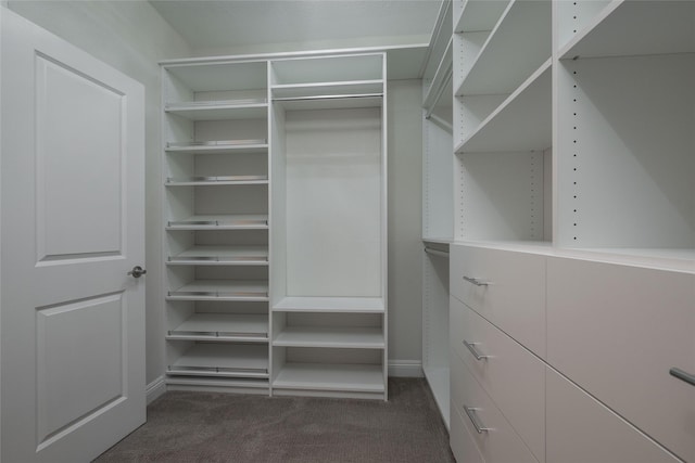 walk in closet with dark colored carpet