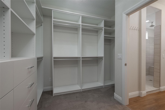 walk in closet with hardwood / wood-style floors