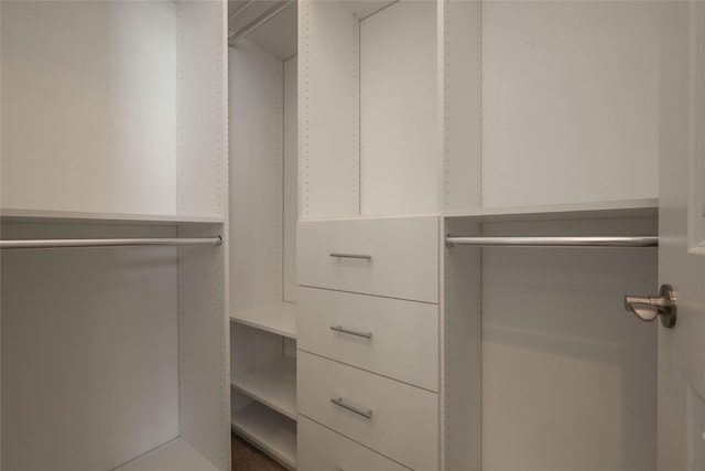 view of spacious closet