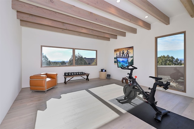 exercise area with wood-type flooring