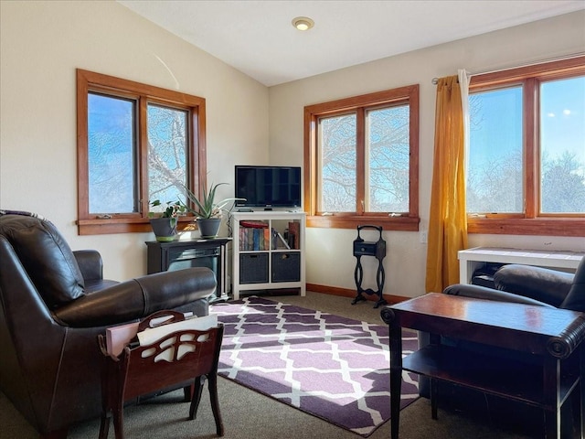 sitting room with lofted ceiling and carpet